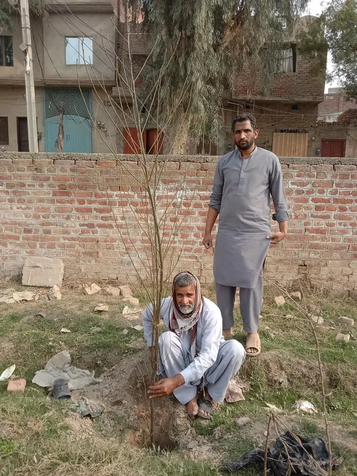 Green Seekers Activity